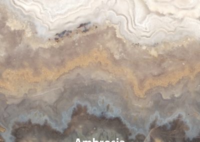 Ambrosia V2 14x14