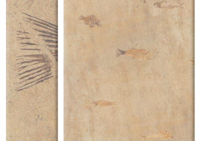 Aquatic Sandstone