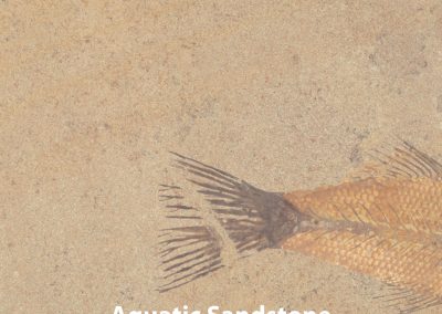 Aquatic+Sandstone V2 14x14