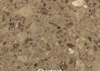 Chestnut V2 14x14
