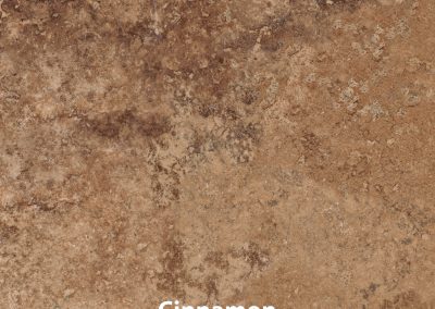 Cinnamon V2 14x14