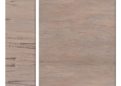 Desert Tan1