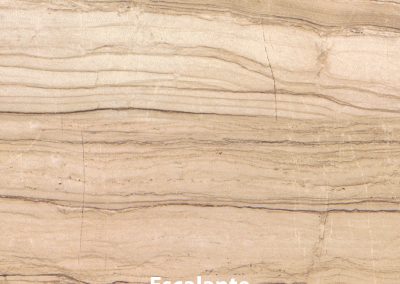 Escalante V2 14x14