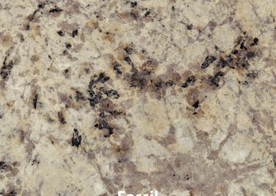 Fossil V2 14x14