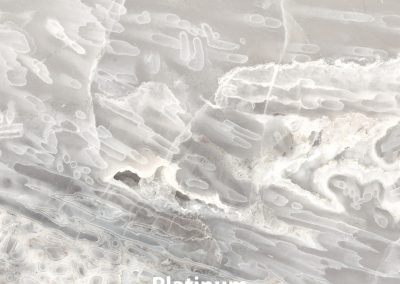 Platinum V2 14x14