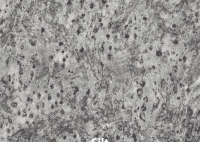 Silt V2 14x14