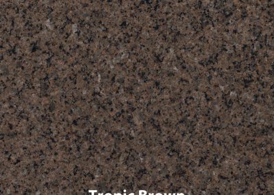 Tropic+Brown V2 14x14
